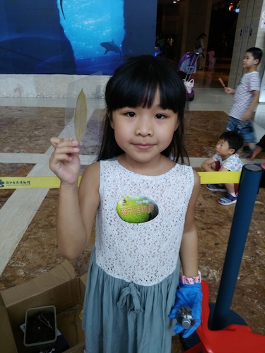 七月十号 无码影片
 B.D.服务社赴浙江自然博物馆”环保小课堂“小分队 看我做的漂亮书签