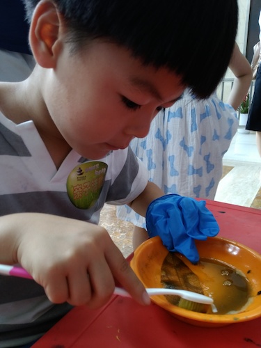 七月十号 无码影片
 B.D.服务社赴浙江自然博物馆”环保小课堂“小分队 刷刷刷，看我认真的刷叶子