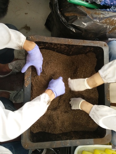 七月十三日 无码影片
国创项目“毅治毒”科研小分队 拌土篇