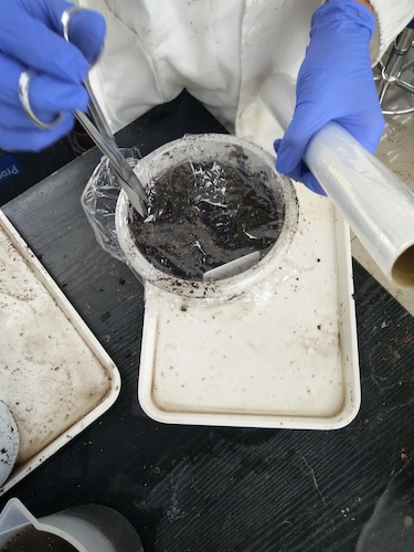 七月十三日 无码影片
国创项目“毅治毒”科研小分队 播种篇