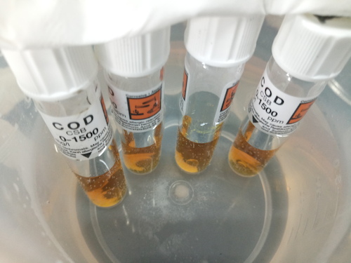 7月19日 无码影片
 赴嘉兴”青水“小分队 cod检测