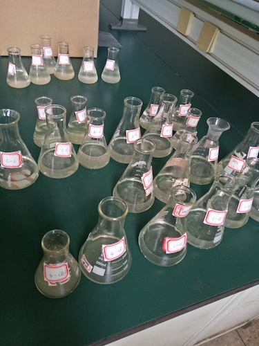 7月19日 无码影片
 赴嘉兴”青水“小分队 水样3