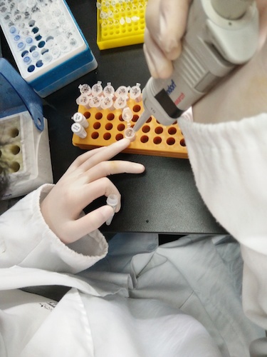 七月十九日 无码影片
国创项目“毅治毒”科研小分队 PCR母液的配制