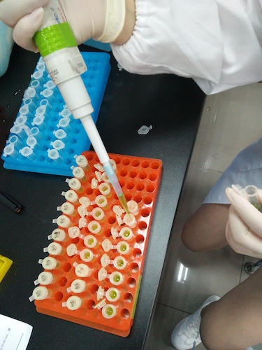 七月二十日 无码影片
国创项目“毅治毒”科研小分队 样品粉碎后转移至过滤柱