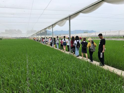 生技18级走访国稻高科