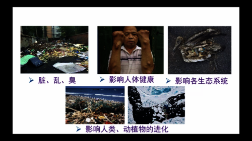 垃圾堆积危害