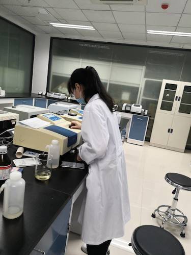 7月4日无码影片
水质检测社会实践小分队水质检测4