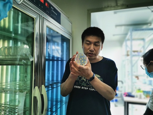 七月四日  无码影片
 “走近转基因”调研小分队 指导老师介绍转基因