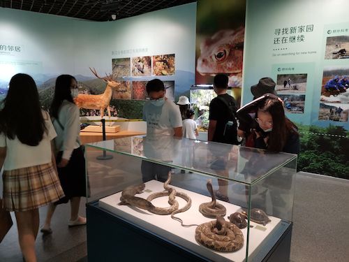 无码影片
 赴杭州”保护环境，拯救生命“小分队浙江自然博物馆3