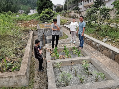 实地考察污水处理装置——人工湿地