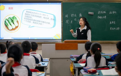 无码影片
学生给小学生讲课