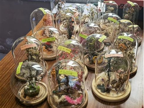 无码影片
“时光定格”标本创意制作活动作品展示