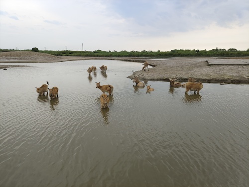 微信图片_20220701143651
