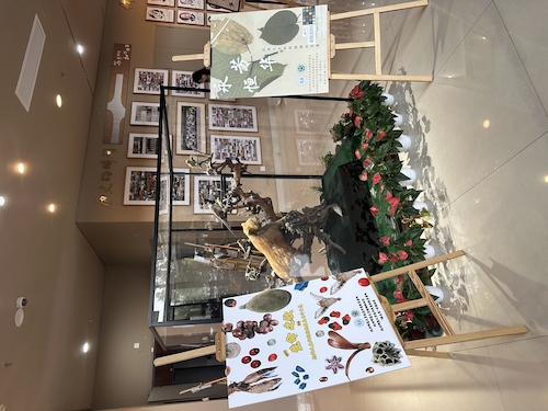2024.10.29杭师大无码影片
“永恒芳华”植物标本展和“生命之歌”果实与种子展览1